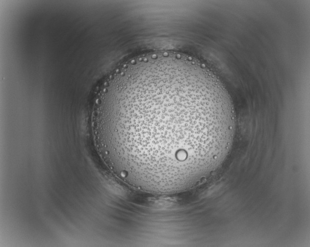 X0000073970359200609051851