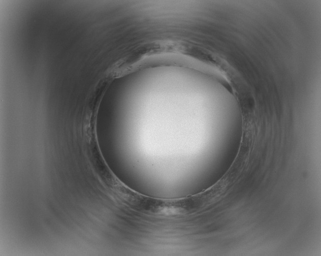 X0000073970360200609051851