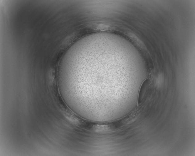 X0000073970361200609051851