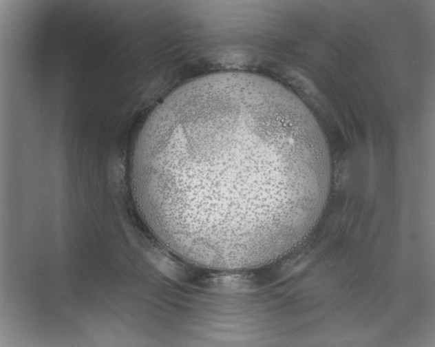 X0000073970365200609051851