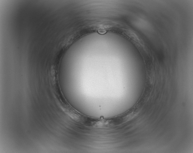 X0000073970366200609051851