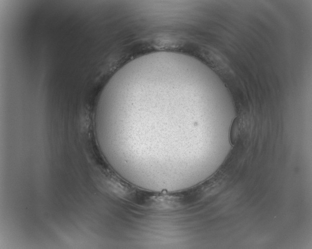 X0000073970367200609051851