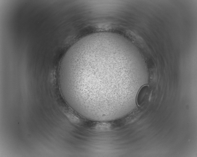 X0000073970369200609051851