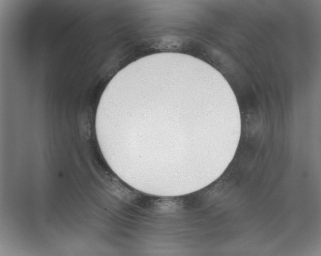 X0000073970370200609051851