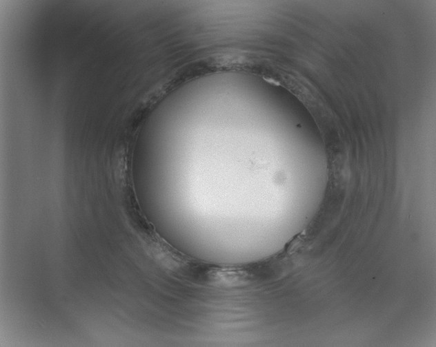 X0000073970372200609051851