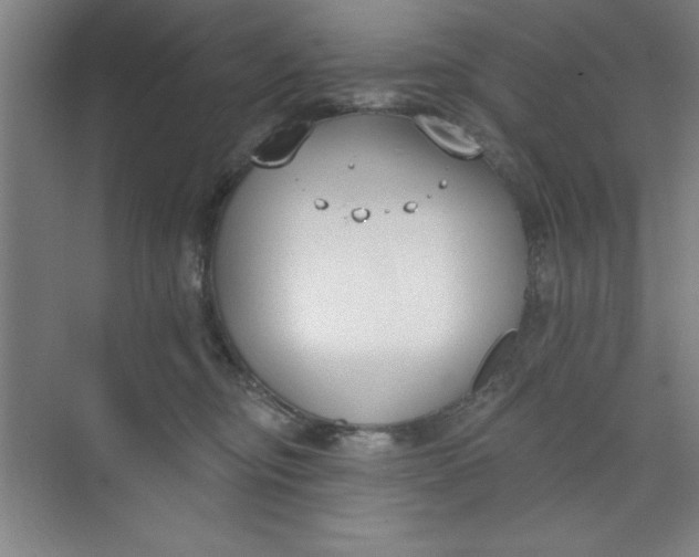 X0000073970374200609051851