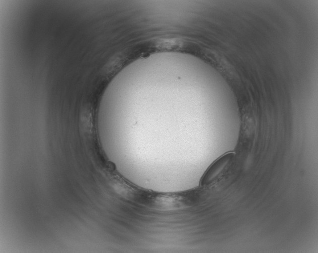 X0000073970375200609051851