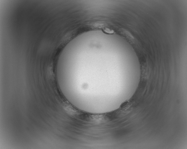 X0000073970377200609051851