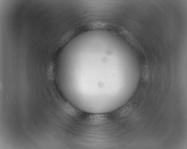 X0000073970378200609051851