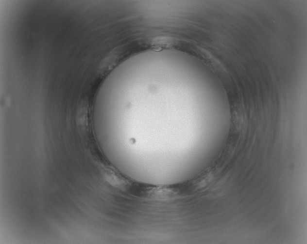 X0000073970379200609051851