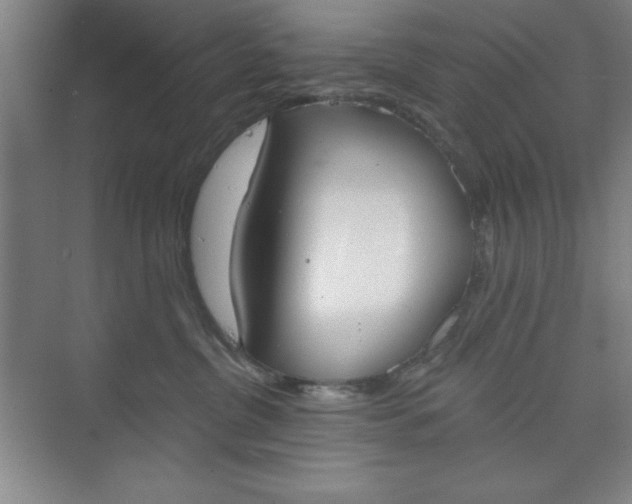 X0000073970380200609051851