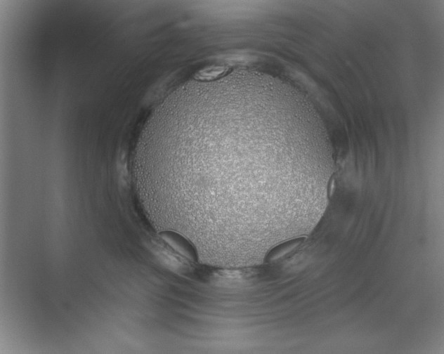 X0000073970381200609051851