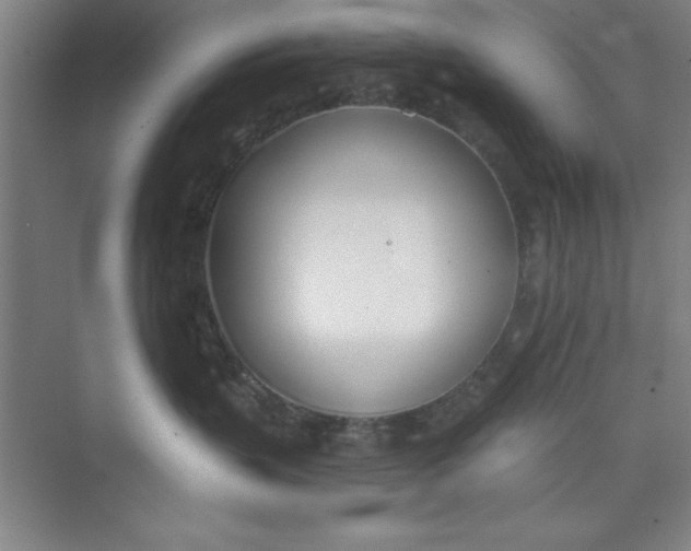 X0000073970383200609051851