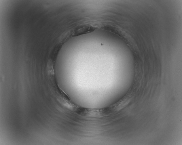 X0000073970384200609051851