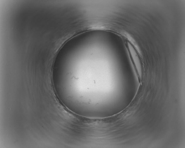 X0000073970385200609051851