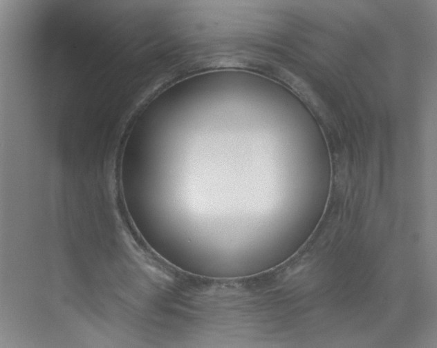 X0000073970386200609051851