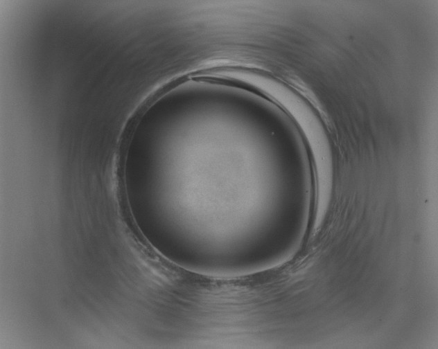 X0000073970387200609051851