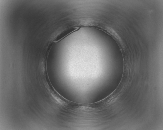 X0000073970393200609051850