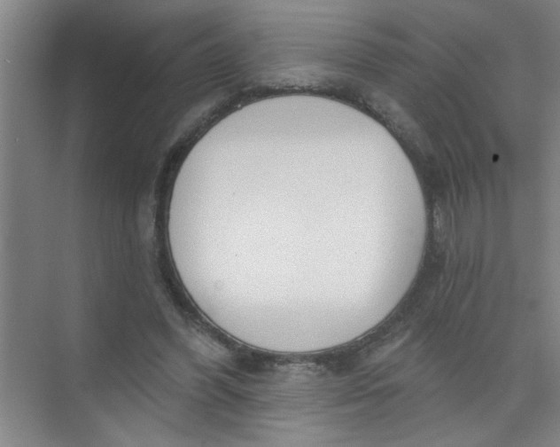 X0000073970396200609051850