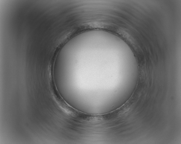 X0000073970398200609051850