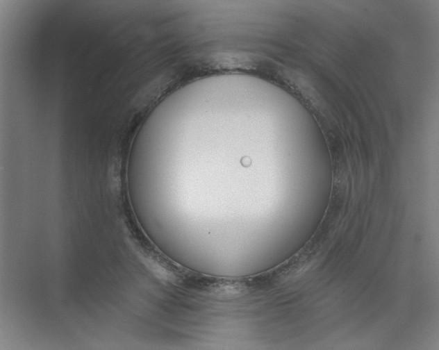 X0000073970402200609051850