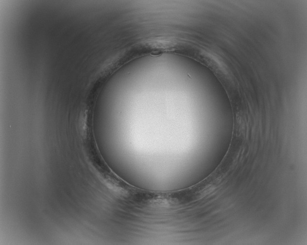 X0000073970404200609051850