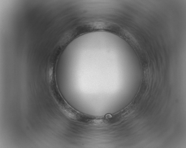 X0000073970406200609051850