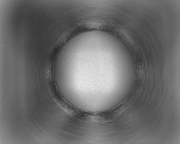 X0000073970408200609051850