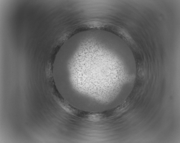 X0000073970411200609051850