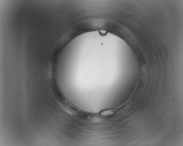 X0000073970412200609051850