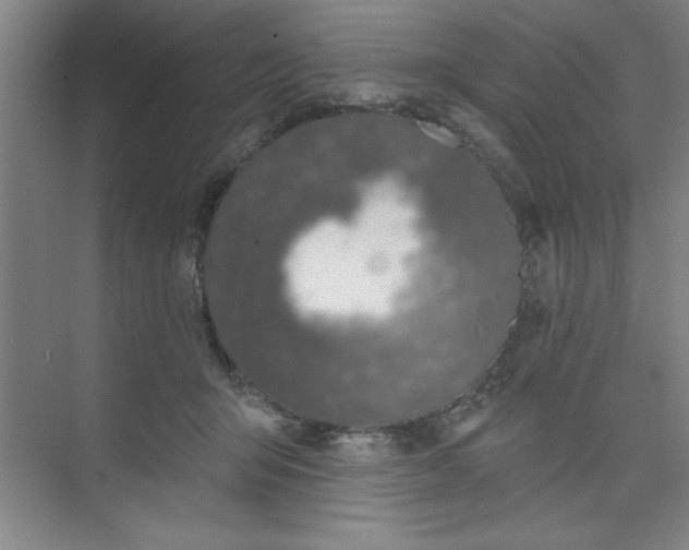 X0000073970415200609051850