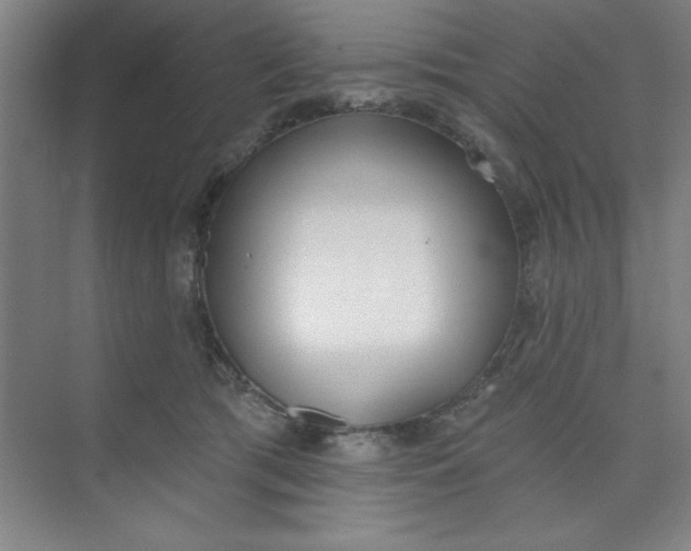 X0000073970417200609051850