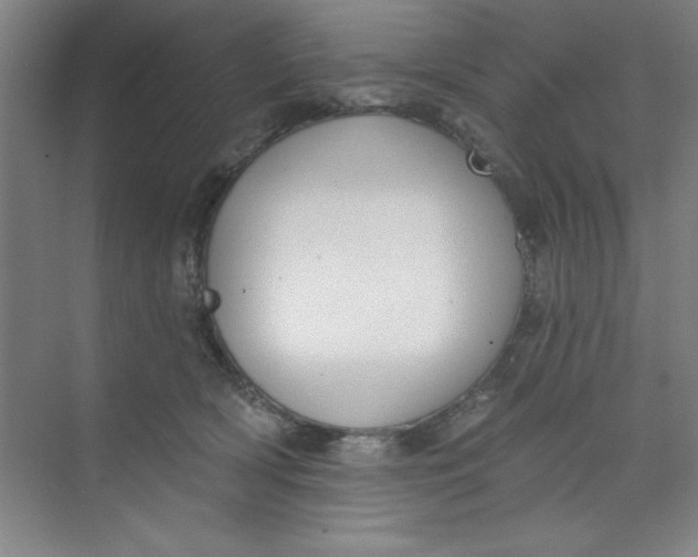 X0000073970418200609051850