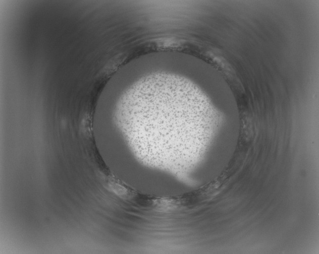 X0000073970419200609051850