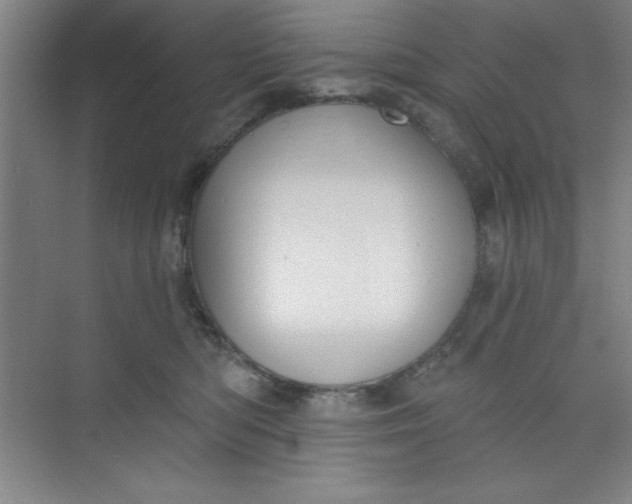 X0000073970422200609051850