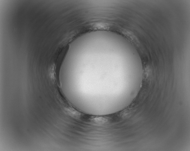 X0000073970423200609051850