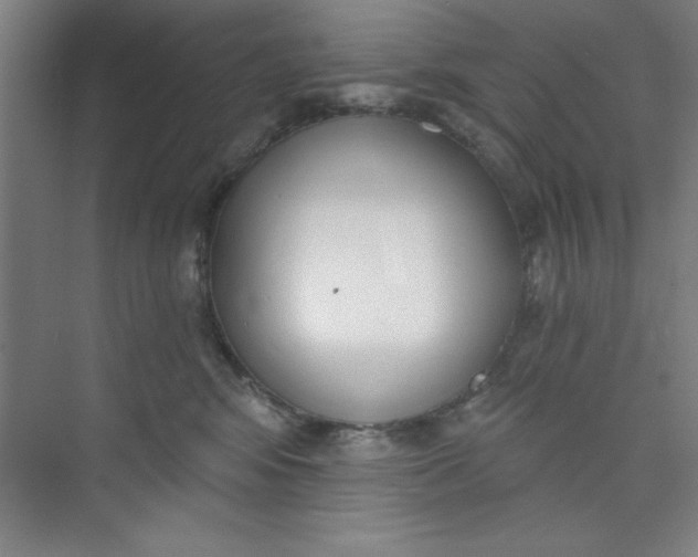 X0000073970424200609051850