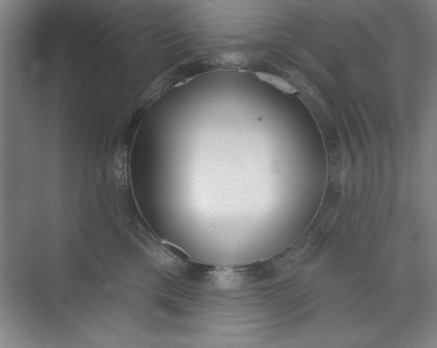 X0000073970425200609051850