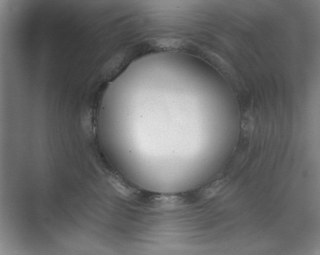 X0000073970428200609051850