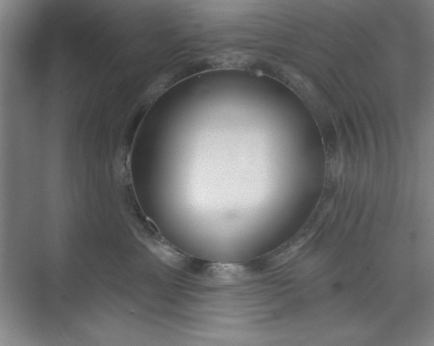 X0000073970429200609051850