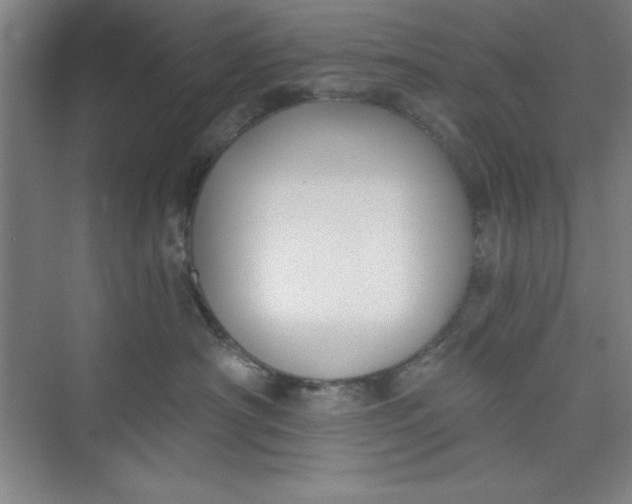 X0000073970430200609051850