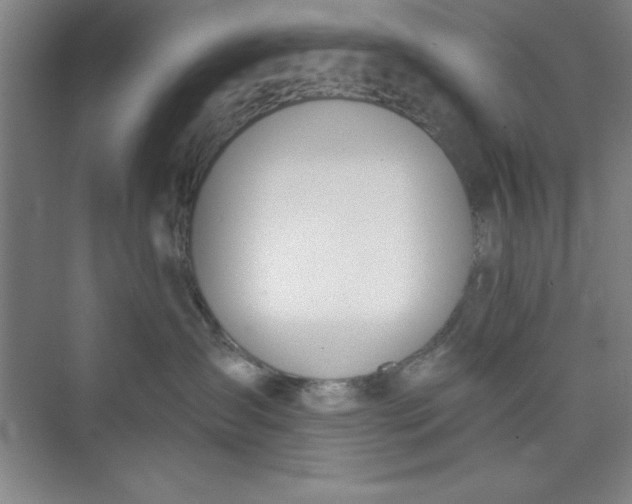 X0000073970431200609051850