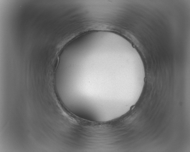 X0000073970433200609051849