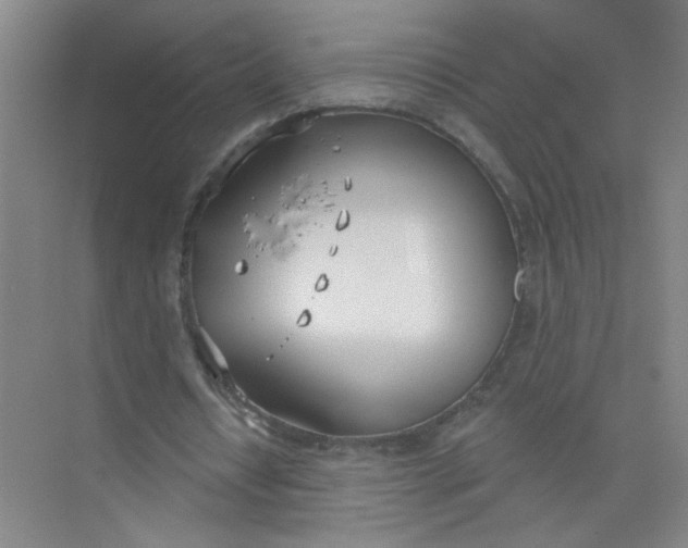 X0000073970434200609051849