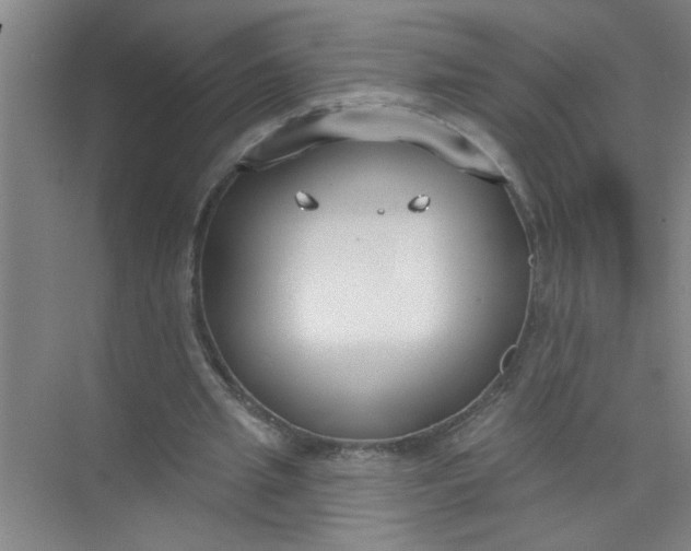 X0000073970437200609051849