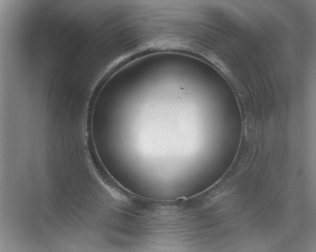 X0000073970438200609051849