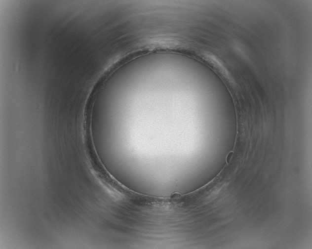 X0000073970439200609051849