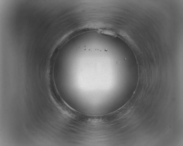 X0000073970440200609051849