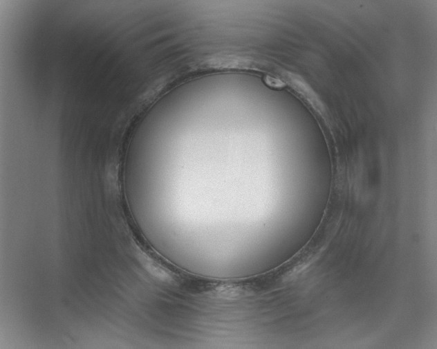 X0000073970441200609051849