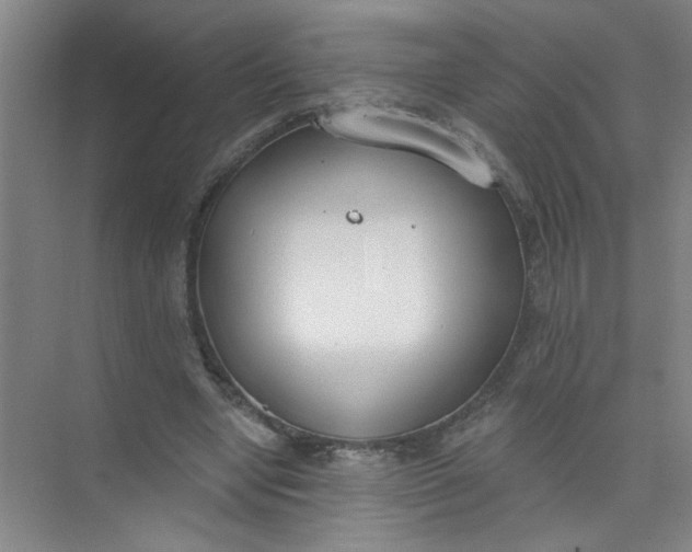 X0000073970442200609051849